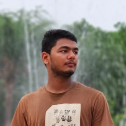 Rishabh Mishra-Freelancer in Jaipur,India