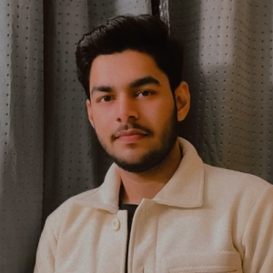 Vineet Dubey-Freelancer in Hisar,India