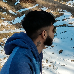 Hritwik Roy Choudhury-Freelancer in Dehradun,India