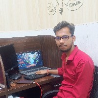 Digital marketing-Freelancer in Devipatan Division,India