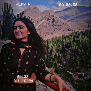 Aliza Fazal-Freelancer in Karimabad,Pakistan
