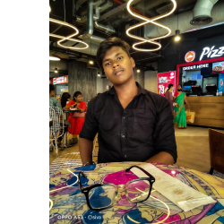 S Srivatsan-Freelancer in Malayambakkam,India