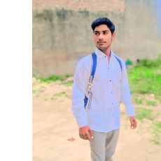 Bhuni Sir-Freelancer in Iglas,India