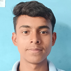 Akash Pal-Freelancer in Bhatapara,India