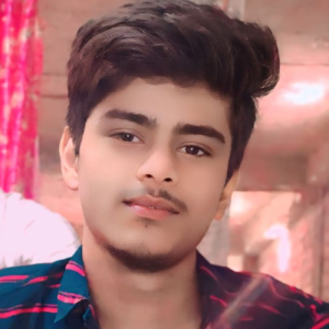 Rajiv Ranjan-Freelancer in katihar ,bihar,India