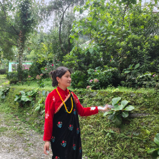 Passang Doma Bhutia-Freelancer in Geyzing,India