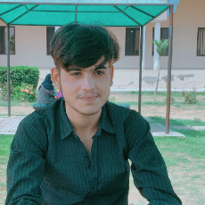 Sulman Sadaf-Freelancer in Sialkot,Pakistan