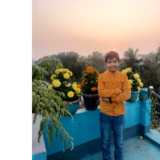 Sajid Awal-Freelancer in Rajshahi,Bangladesh