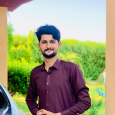 Hasnain Ali-Freelancer in Sadiq abad,Pakistan