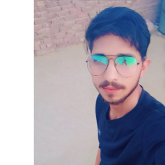 Ashok Kumar-Freelancer in Raisinghnagar,India