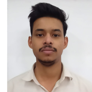 Ashish Verma-Freelancer in Jhansi,India
