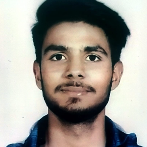 Charchit Arya-Freelancer in Chandausi,India