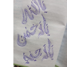 Zainab Bibi-Freelancer in Lahore,Pakistan