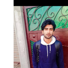 Mohd Arhan-Freelancer in Pilibhit,India