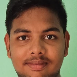 Rajib Nayak-Freelancer in Bhubaneswar,India