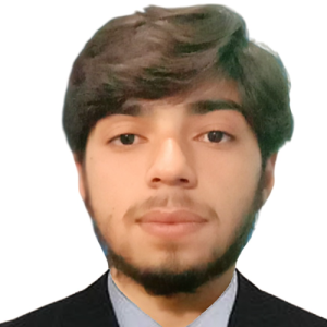Ashfaq Khan-Freelancer in Ouch,Pakistan