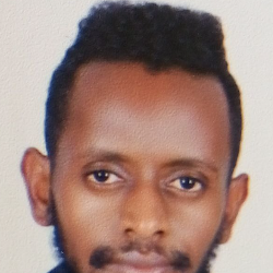 Sofanyas Temesgn-Freelancer in Addis Ababa,Ethiopia