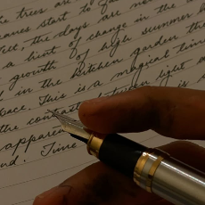 Lavender-Freelancer in Chittur,India