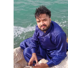 M Salman-Freelancer in ,Bahrain