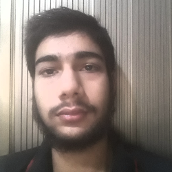 Hafiz Ibraheem-Freelancer in Gujranwala,Pakistan