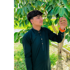 Shahbaz Baloch-Freelancer in Basti Jatoi Wala,Pakistan