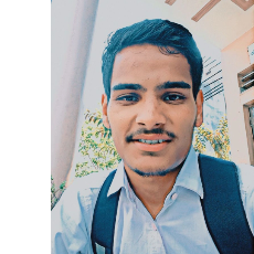 Ritik Rana-Freelancer in Panchkula,India