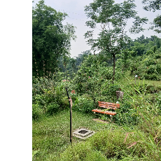 Khushi-Freelancer in Basant Pur,India