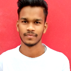 Pankaj Sharma-Freelancer in Khurja,India