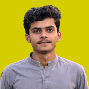 Naveed Ali-Freelancer in Sukkur,Pakistan