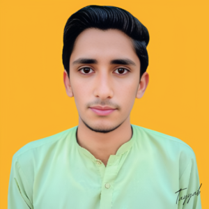 Tayyab-Freelancer in Faisalabad,Pakistan