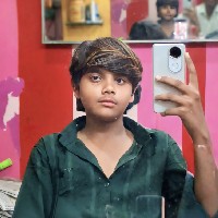 Ronak Mali-Freelancer in Ringnod,India