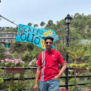 Nikhil Kanwal-Freelancer in Rajpura,India