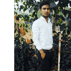 Sandeep Rajvanshi-Freelancer in Sitapur,India