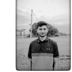 Anik Biswas-Freelancer in Konabari,Bangladesh