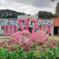 Chandana Bg-Freelancer in Bengaluru,India