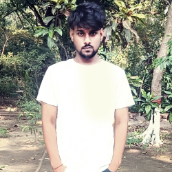 Mayank Singh-Freelancer in Patna,India