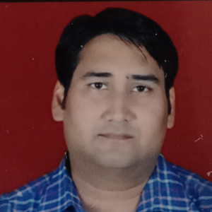 Nirvikar Satsangi-Freelancer in Greater Noida,India