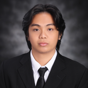 Cinches, Aaron Jireh-Freelancer in Cebu City,Philippines