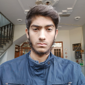Hammad Habib-Freelancer in Karachi,Pakistan