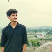 Vishesh Lovanshi-Freelancer in Bhopal Division,India