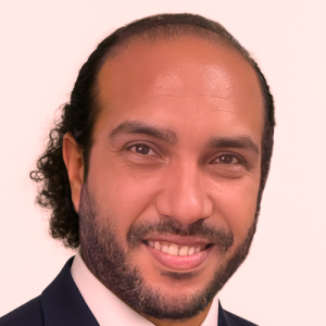 Abdelhakim M. Elamin-Freelancer in ,Egypt