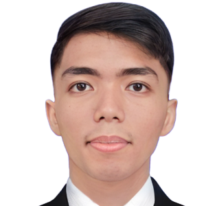 Lito Ramirez Jr.-Freelancer in Quezon City,Philippines