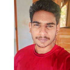 Sreenath Krishna-Freelancer in Alappuzha,India