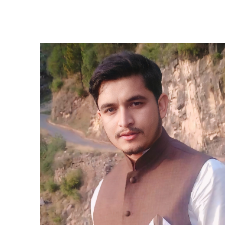 Raja Muhammad Wasim-Freelancer in Abbottabad,Pakistan