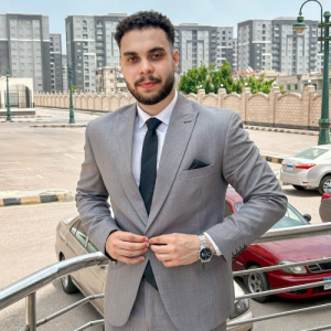 Mostafa Gamal-Freelancer in ,Egypt