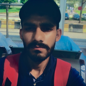 Muzammil Hussian-Freelancer in Rawalpindi,Pakistan
