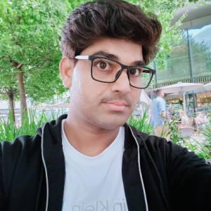Sunder Kumar-Freelancer in Gurgaon,India