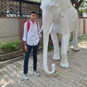 Kapil Chaudhary-Freelancer in Mathura,India