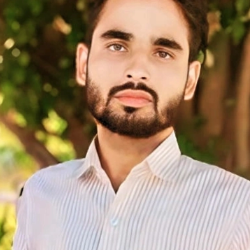 Parvez Alam-Freelancer in lucknow,India