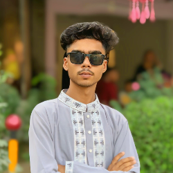 Ts Sumon-Freelancer in Gobindapur,Bangladesh